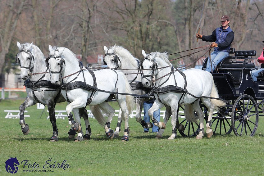 30.-.31.3.2019 - Soustředění spřežení v NH Kladruby