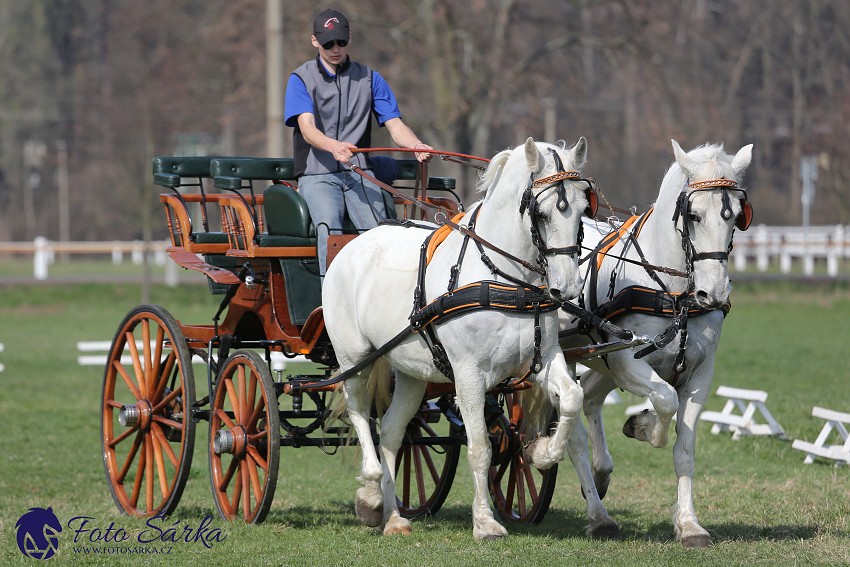 30.-.31.3.2019 - Soustředění spřežení v NH Kladruby