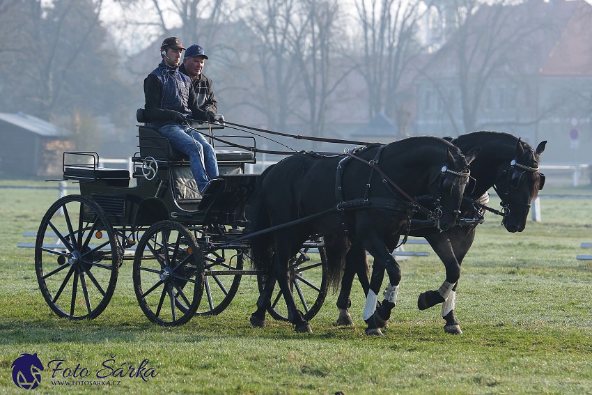 30.-.31.3.2019 - Soustředění spřežení v NH Kladruby