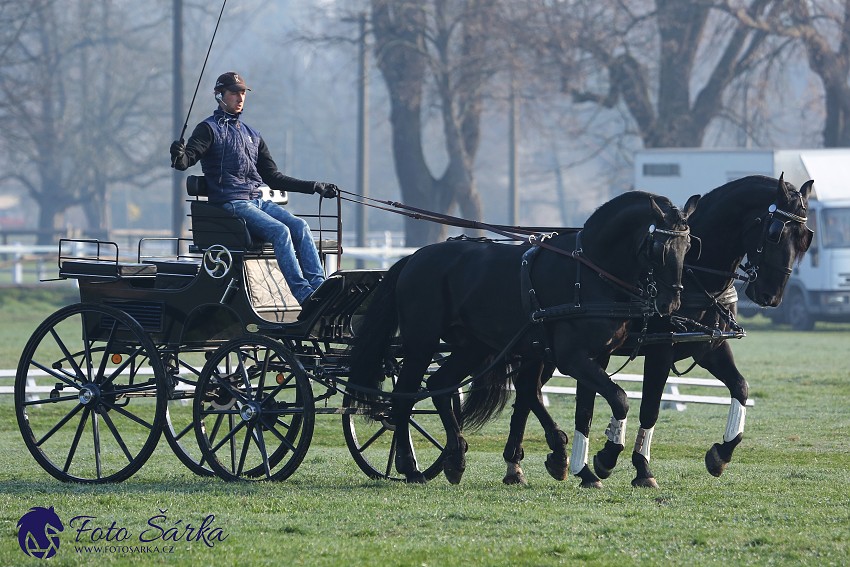30.-.31.3.2019 - Soustředění spřežení v NH Kladruby