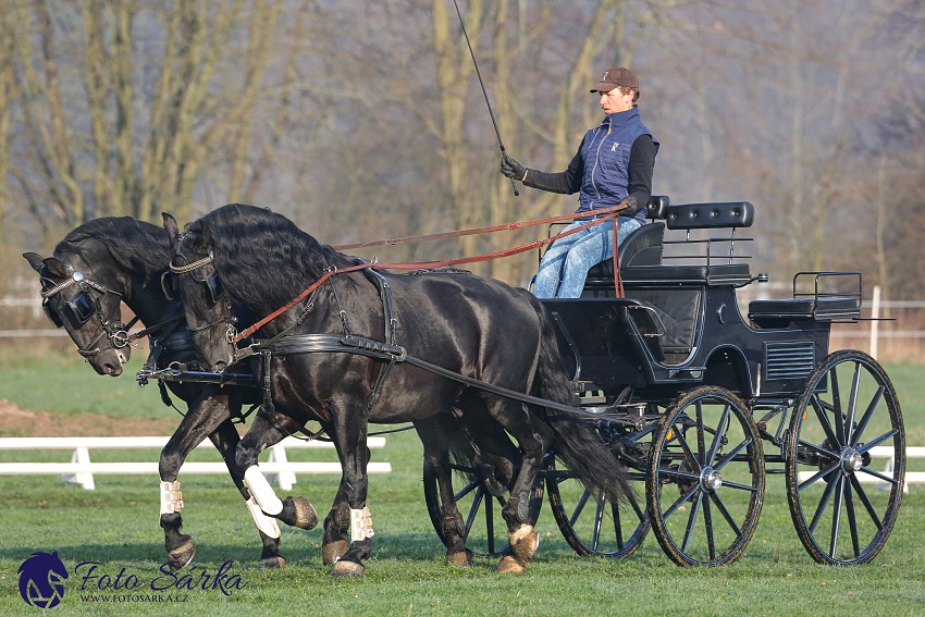 30.-.31.3.2019 - Soustředění spřežení v NH Kladruby