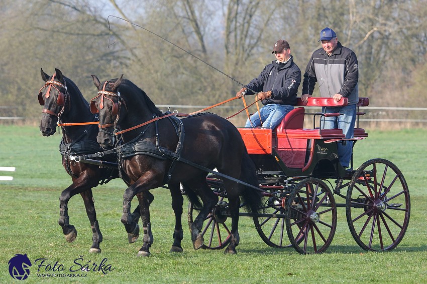 30.-.31.3.2019 - Soustředění spřežení v NH Kladruby