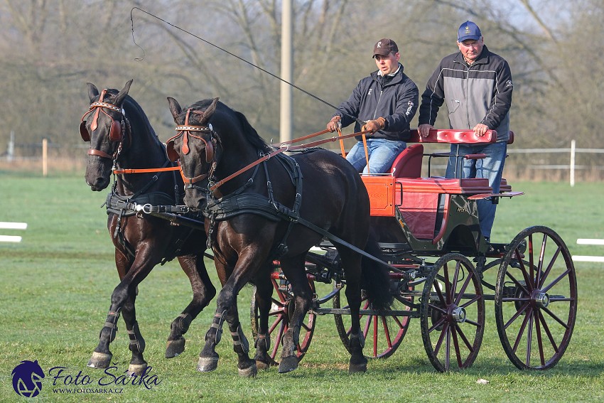 30.-.31.3.2019 - Soustředění spřežení v NH Kladruby