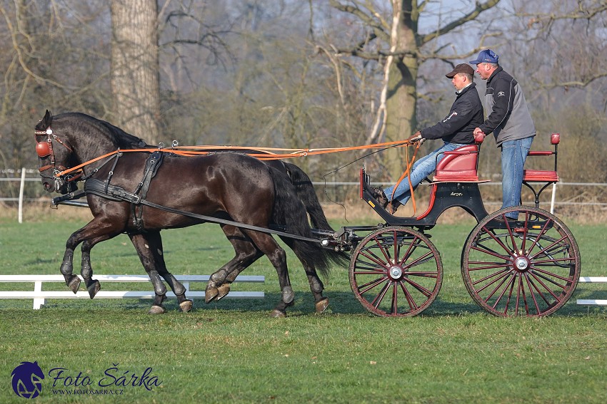 30.-.31.3.2019 - Soustředění spřežení v NH Kladruby