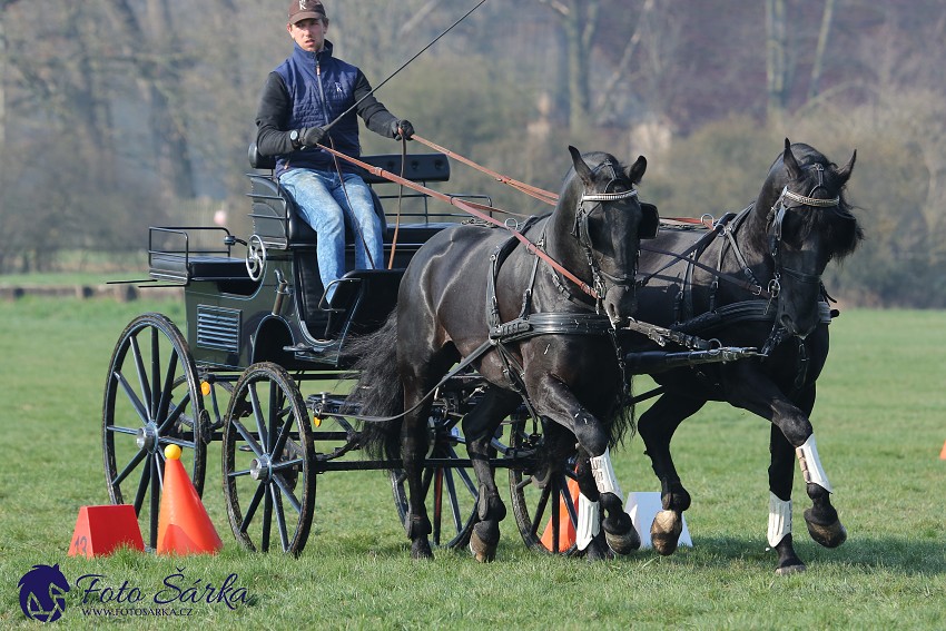 30.-.31.3.2019 - Soustředění spřežení v NH Kladruby