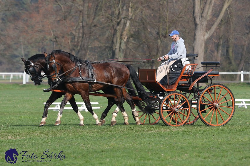 30.-.31.3.2019 - Soustředění spřežení v NH Kladruby