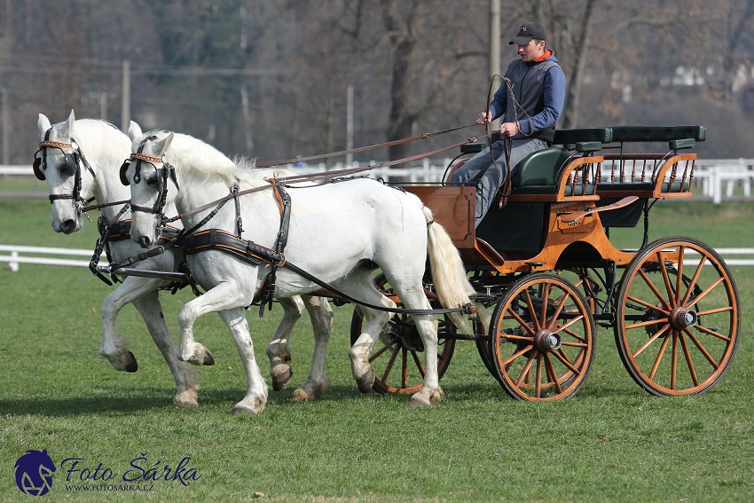 30.-.31.3.2019 - Soustředění spřežení v NH Kladruby