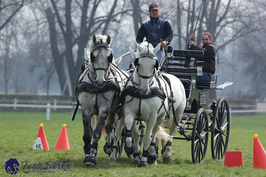 30.-.31.3.2019 - Soustředění spřežení v NH Kladruby