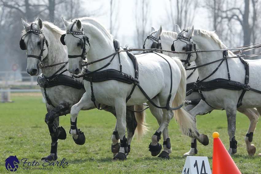 30.-.31.3.2019 - Soustředění spřežení v NH Kladruby