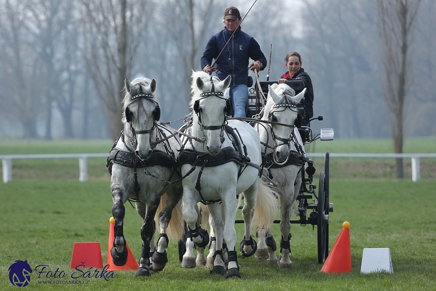 30.-.31.3.2019 - Soustředění spřežení v NH Kladruby