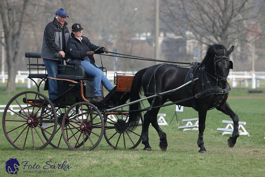 30.-.31.3.2019 - Soustředění spřežení v NH Kladruby