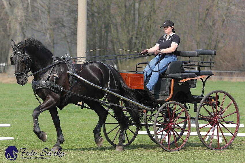 30.-.31.3.2019 - Soustředění spřežení v NH Kladruby