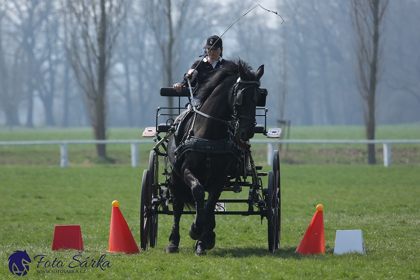 30.-.31.3.2019 - Soustředění spřežení v NH Kladruby