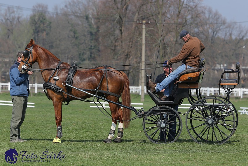 30.-.31.3.2019 - Soustředění spřežení v NH Kladruby