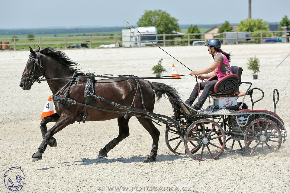 3.6.2017 - Wetbloc Cup 2.kolo