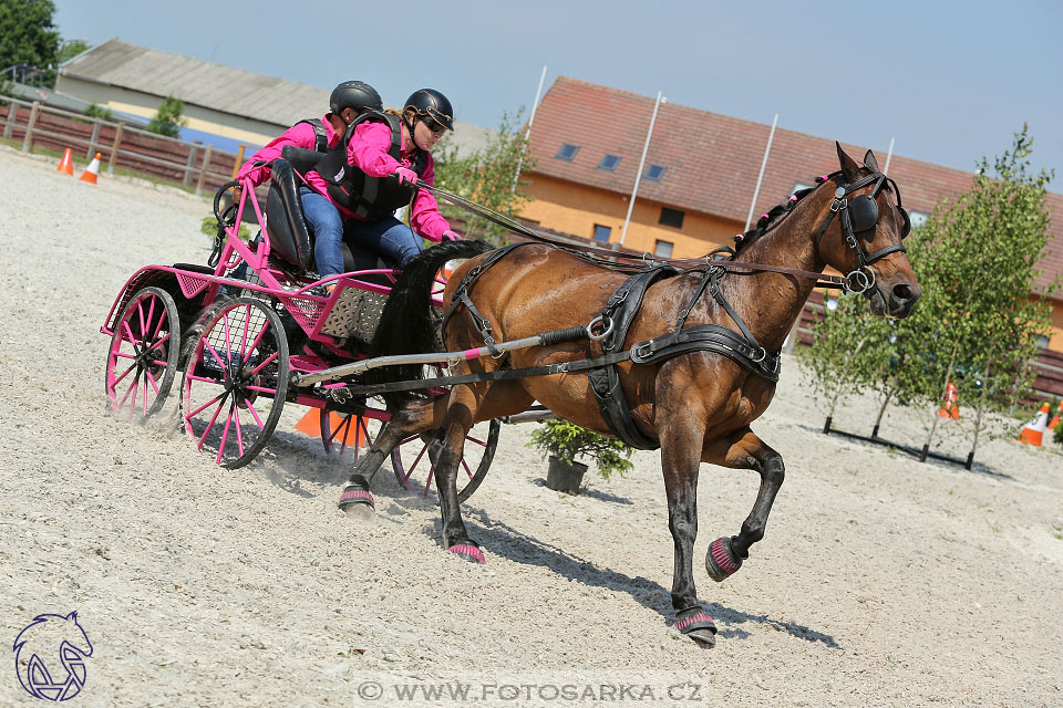 3.6.2017 - Wetbloc Cup 2.kolo