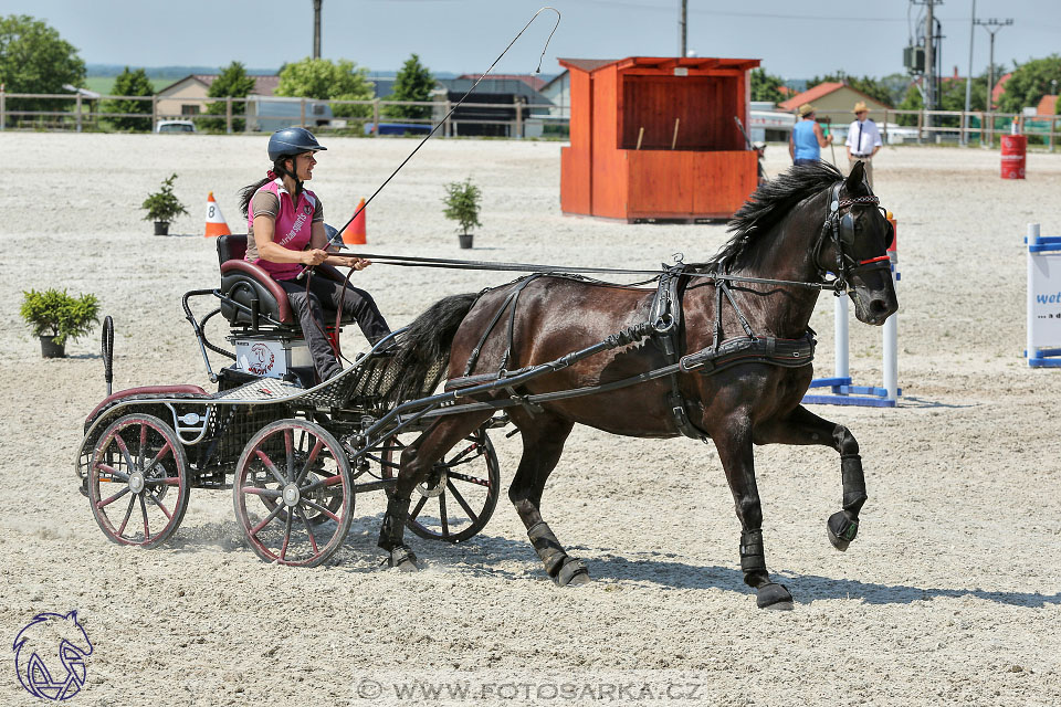 3.6.2017 - Wetbloc Cup 2.kolo