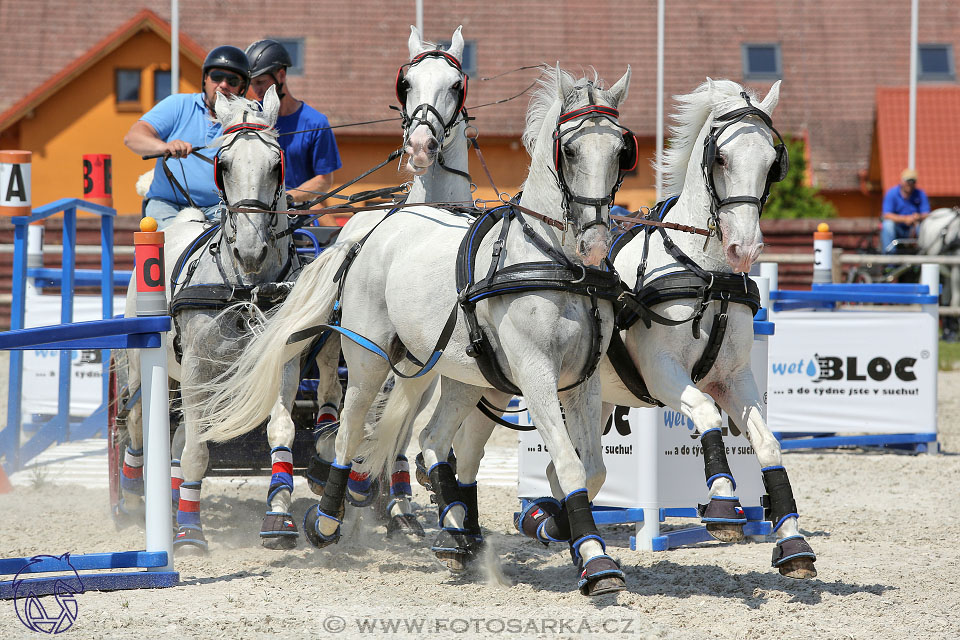 3.6.2017 - Wetbloc Cup 2.kolo