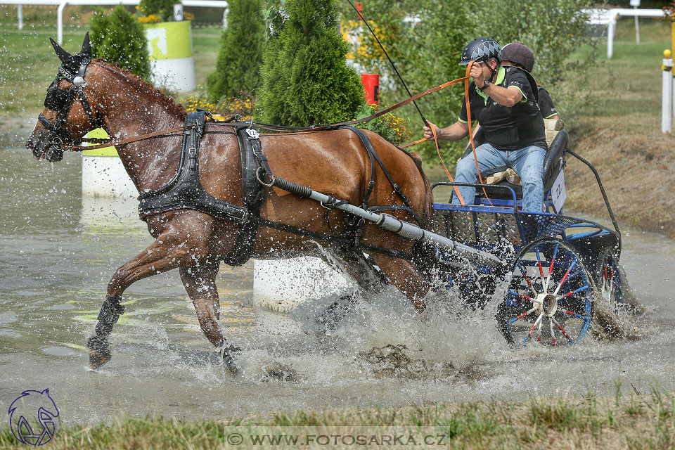 9.7.2017 - kvalifikace ZP Pardubice