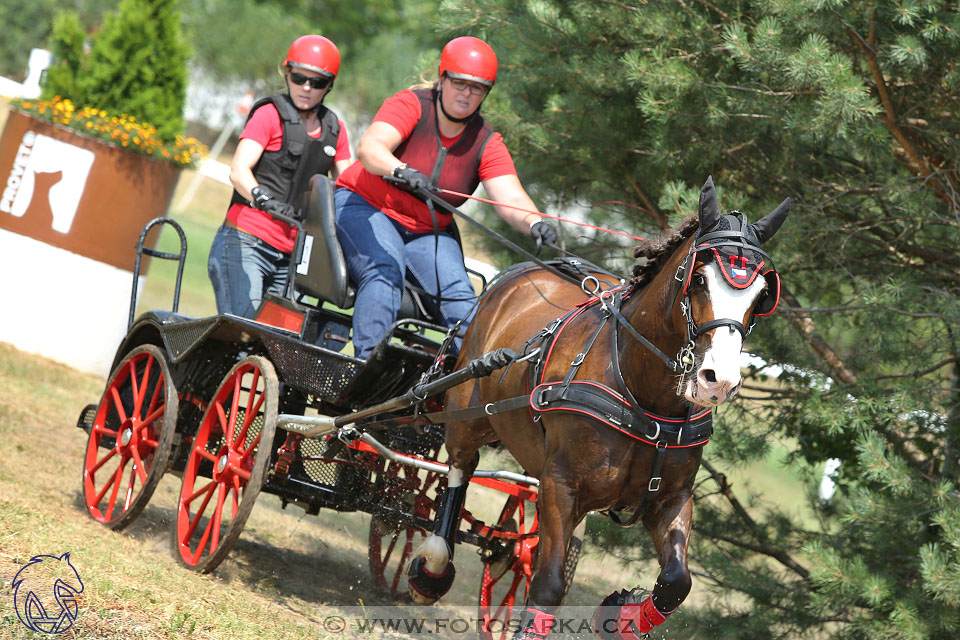 9.7.2017 - kvalifikace ZP Pardubice