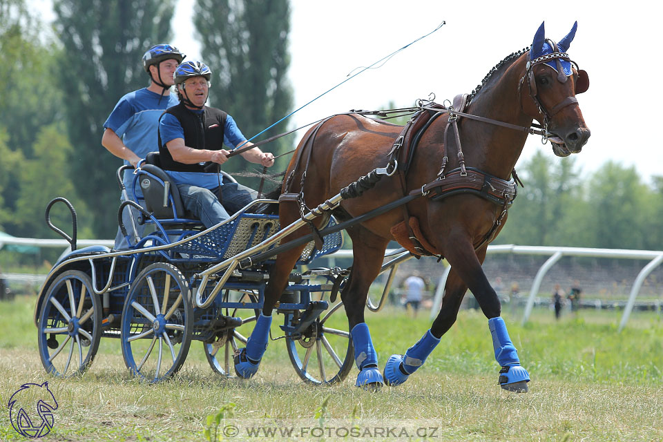 9.7.2017 - kvalifikace ZP Pardubice