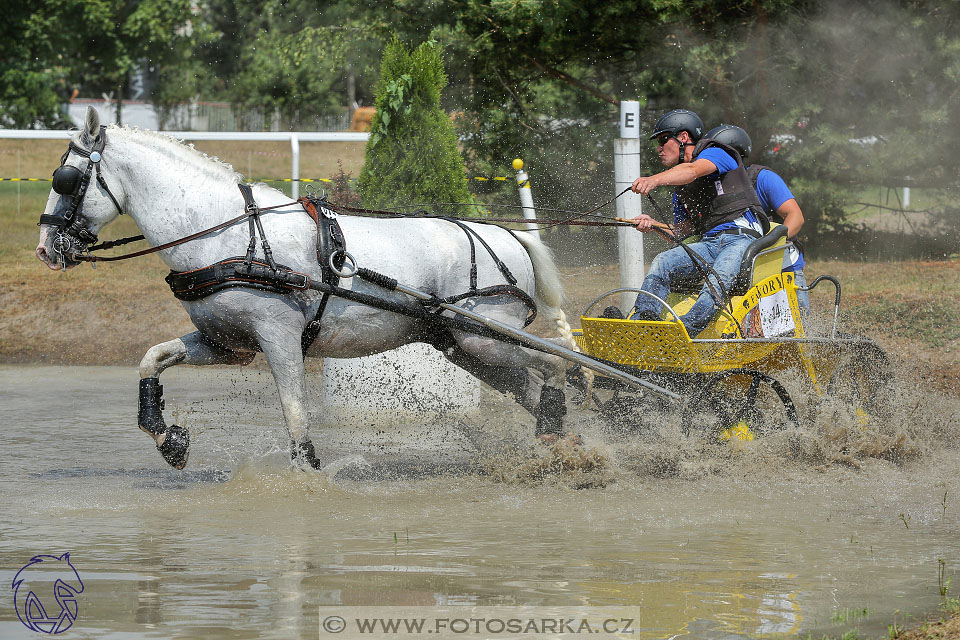 9.7.2017 - kvalifikace ZP Pardubice