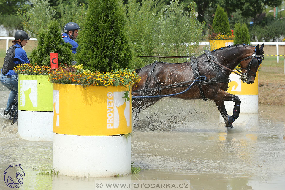 9.7.2017 - kvalifikace ZP Pardubice