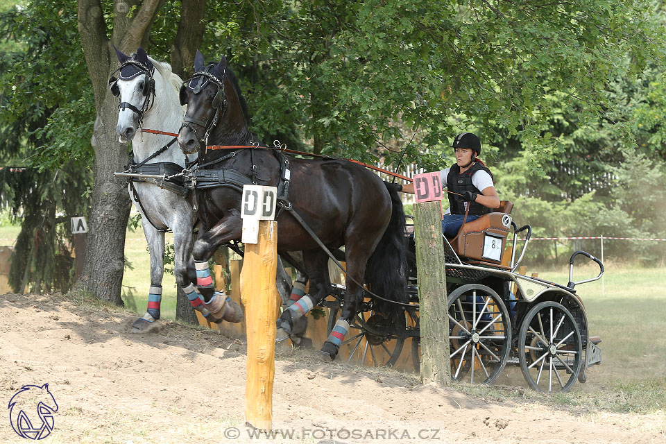 9.7.2017 - kvalifikace ZP Pardubice