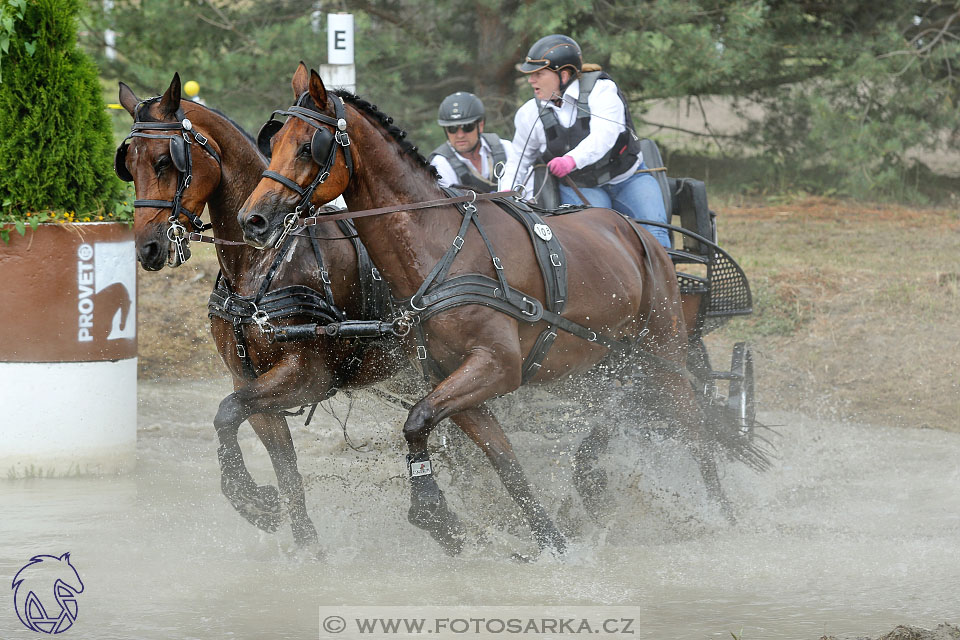 9.7.2017 - kvalifikace ZP Pardubice