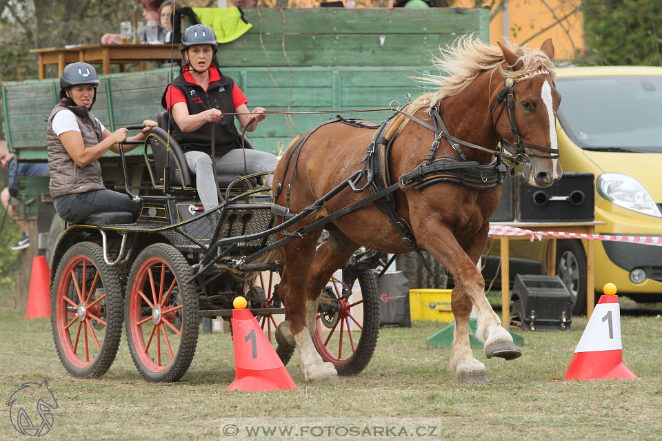 Alkapet vozatajský pohár