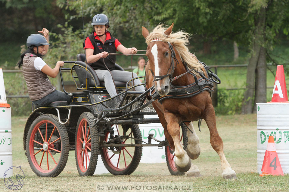 Alkapet vozatajský pohár