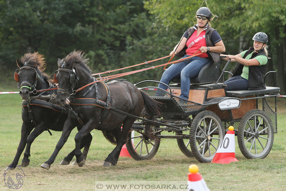 Alkapet vozatajský pohár