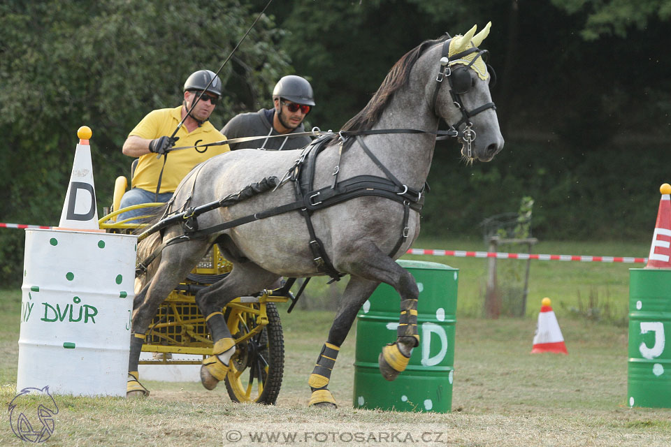 Alkapet vozatajský pohár