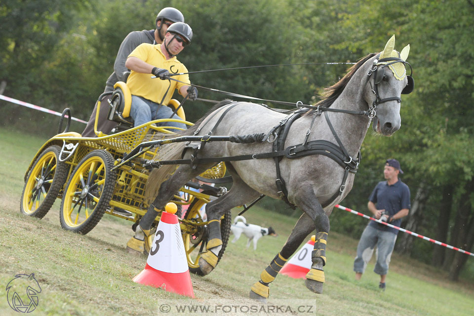 Alkapet vozatajský pohár