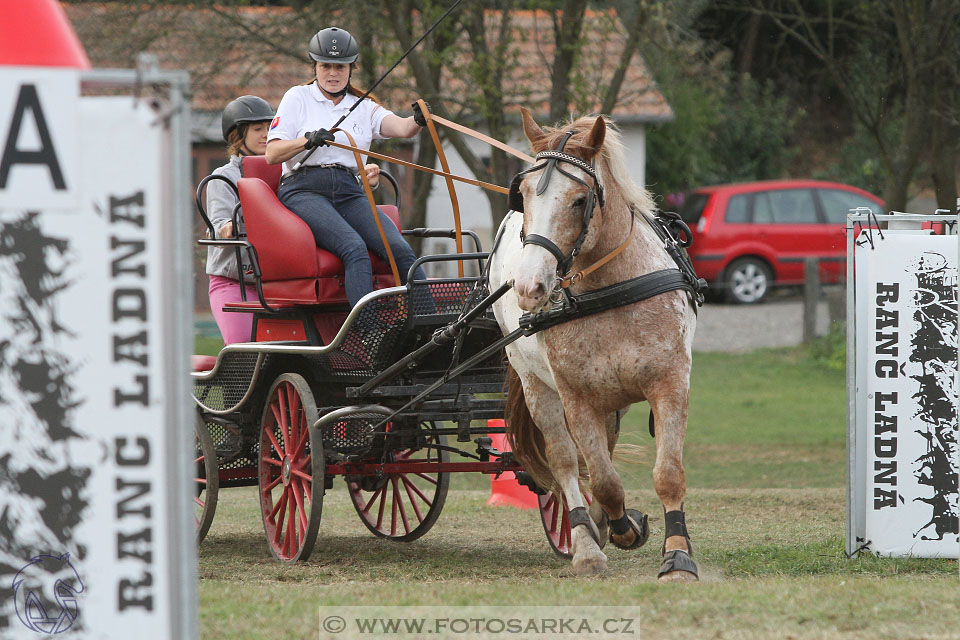 Alkapet vozatajský pohár