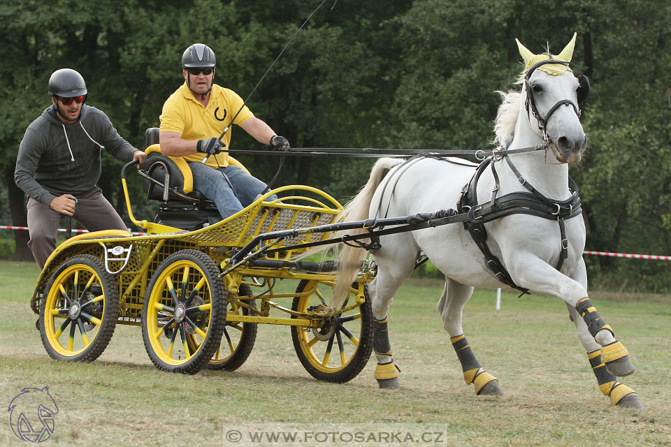 Alkapet vozatajský pohár