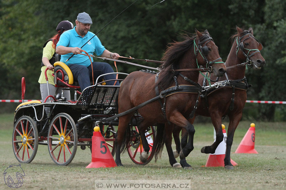 Alkapet vozatajský pohár