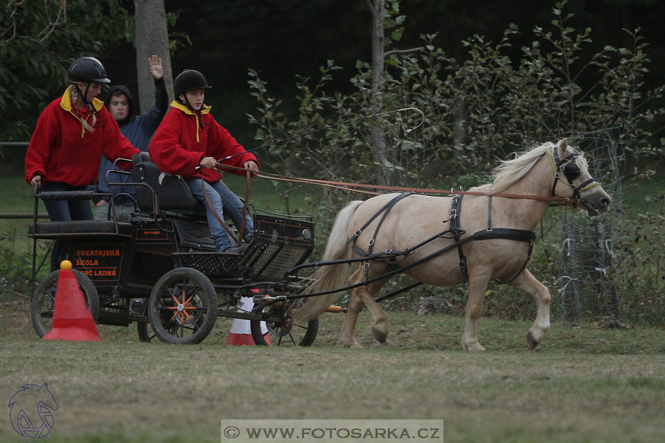 Alkapet vozatajský pohár