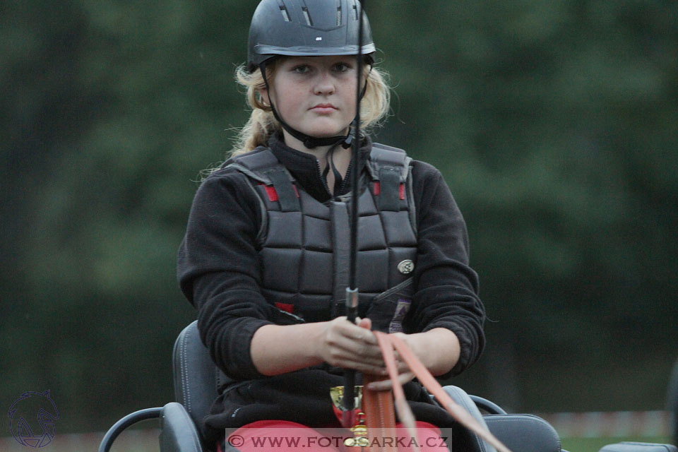 Alkapet vozatajský pohár