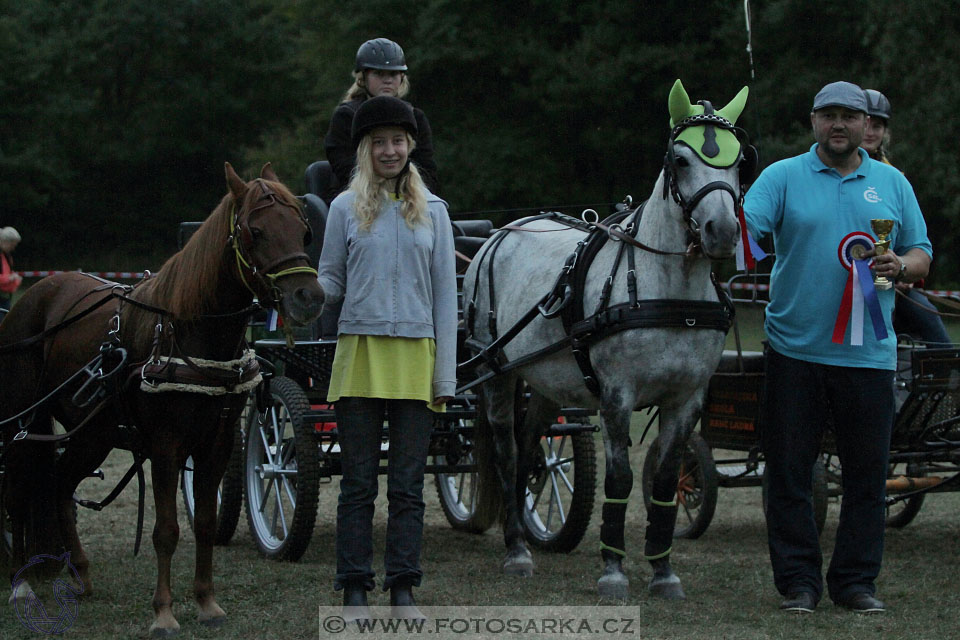 Alkapet vozatajský pohár