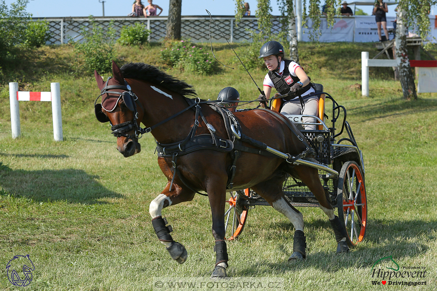 Altenfelden 2018 - maraton