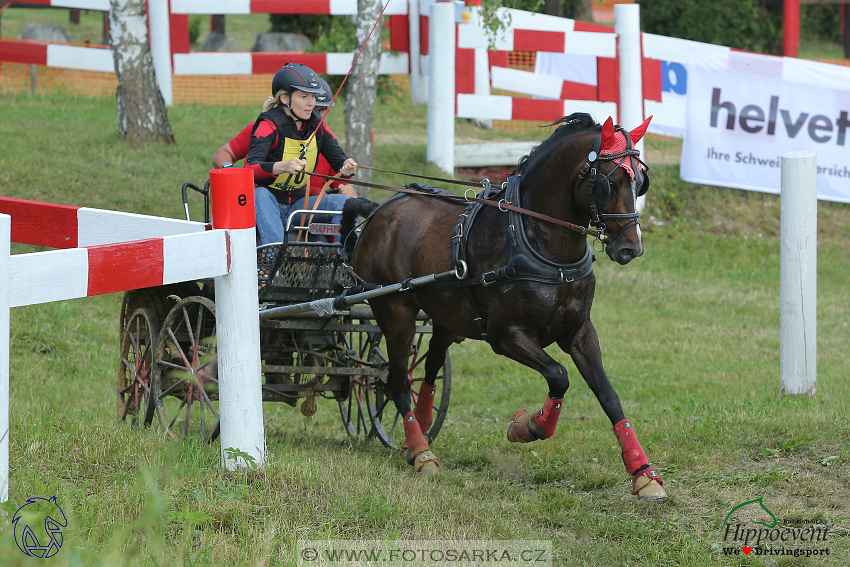 Altenfelden 2018 - maraton