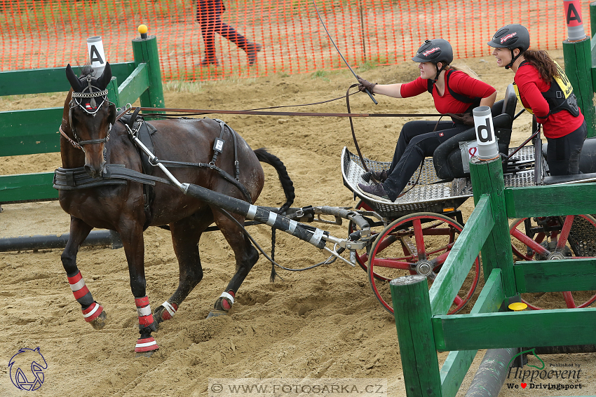 Altenfelden 2018 - maraton