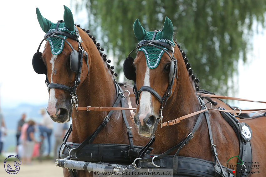 Altenfelden 2018 - maraton
