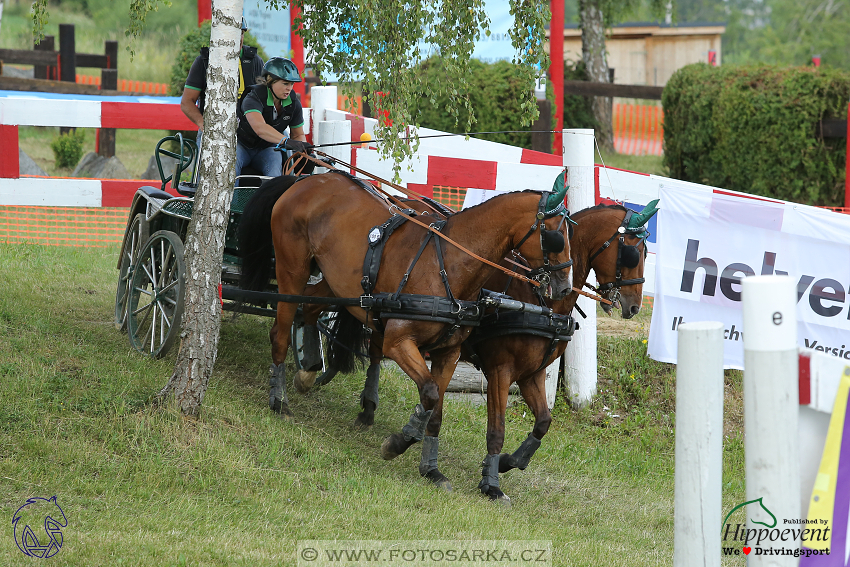 Altenfelden 2018 - maraton