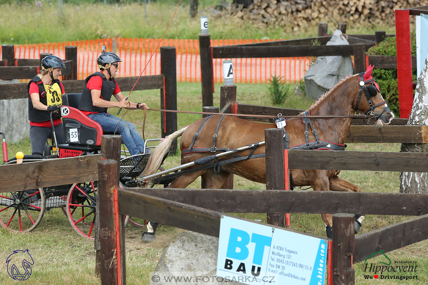 Altenfelden 2018 - maraton