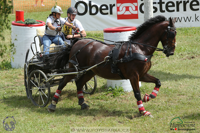 Altenfelden 2018 - maraton