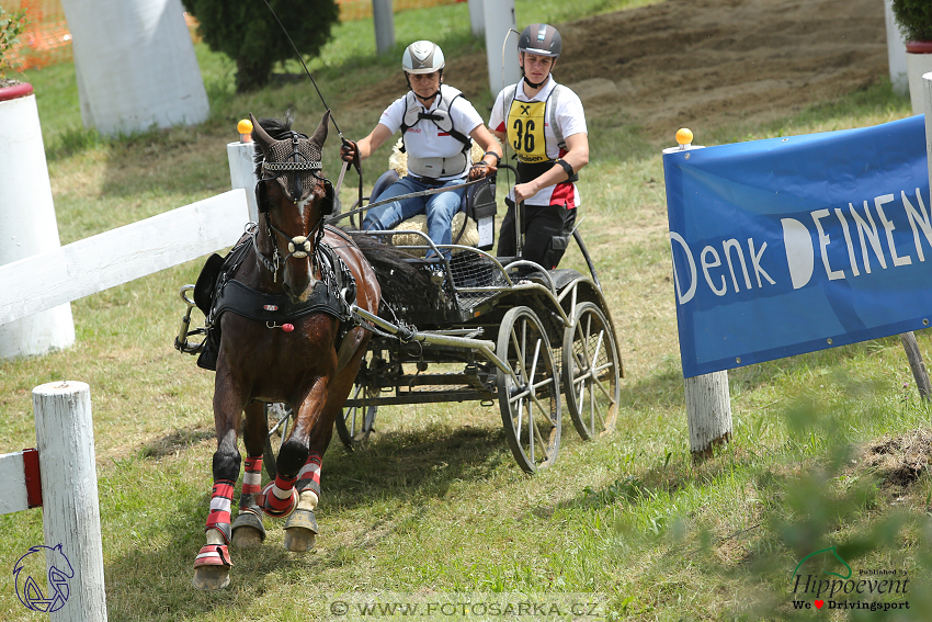 Altenfelden 2018 - maraton