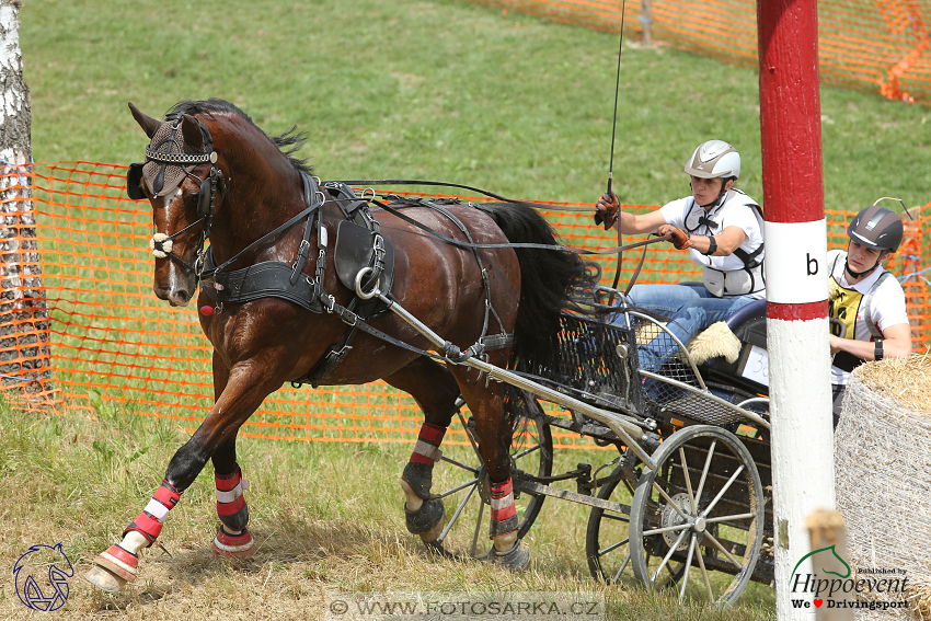 Altenfelden 2018 - maraton