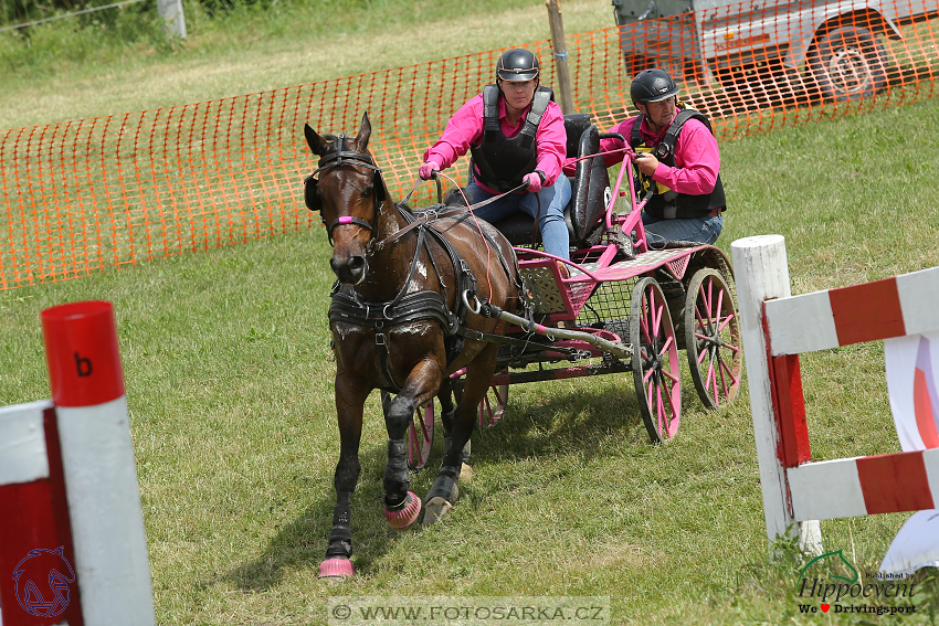 Altenfelden 2018 - maraton